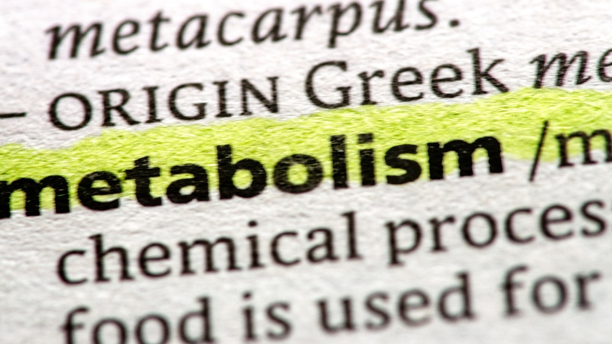 What is Metabolism and Why It Matters