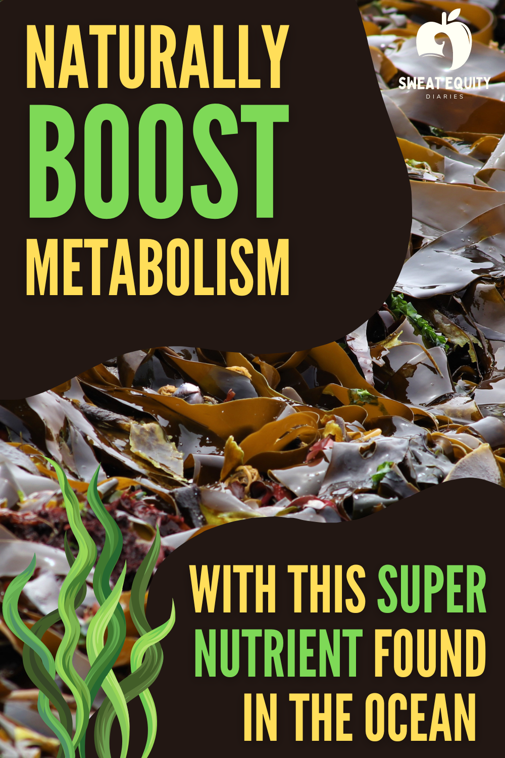 Boost Your Metabolism With This Powerful Nutrient Found In The Ocean