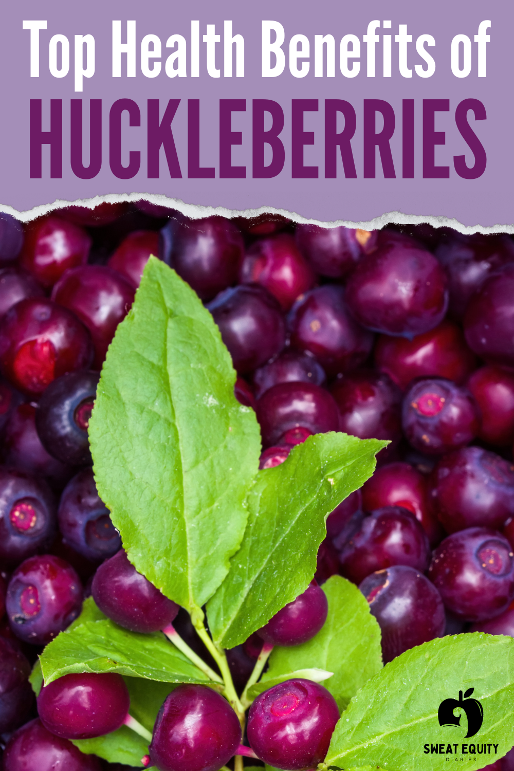 Top Health Benefits of Huckleberries